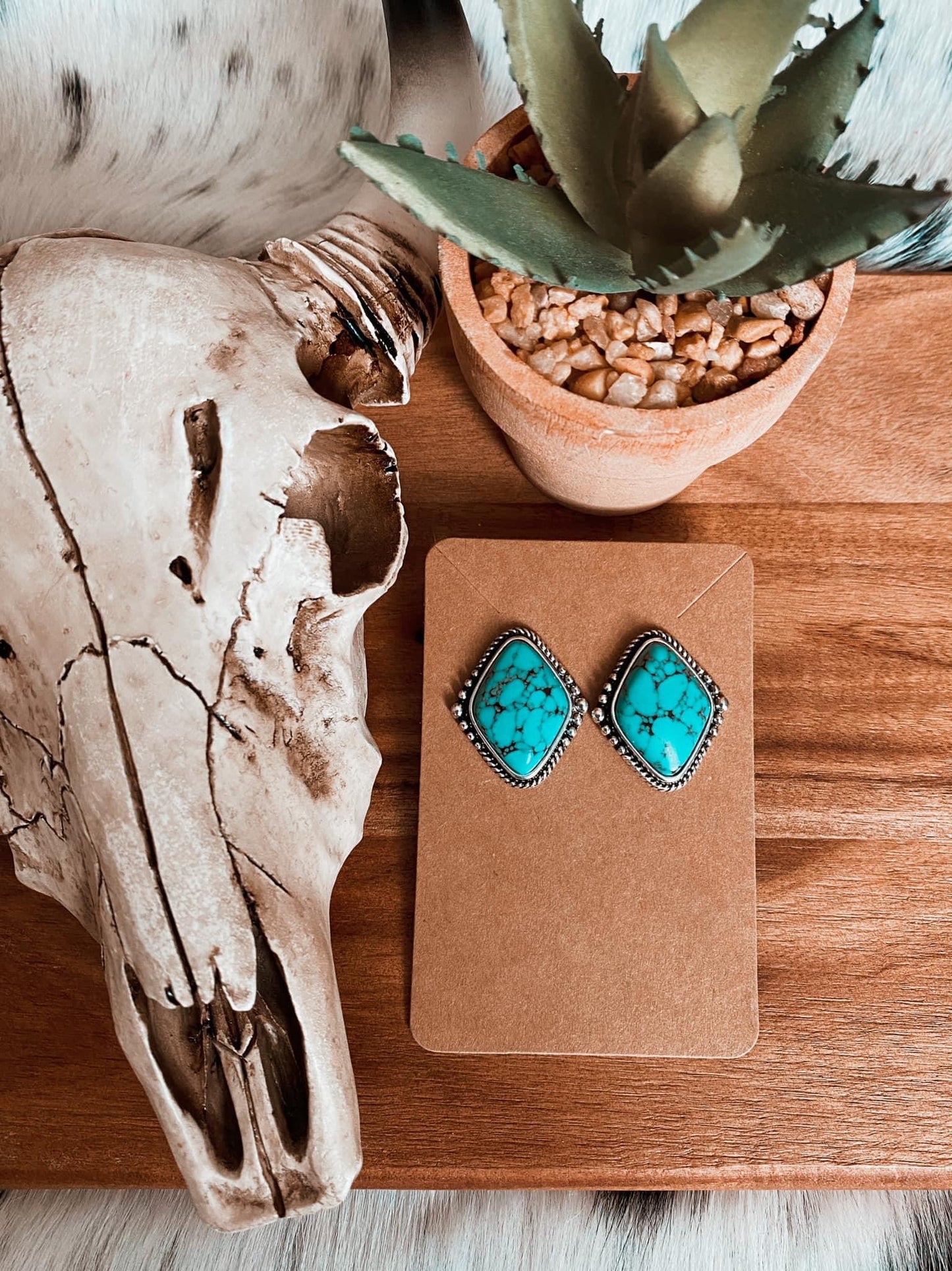 Western Vibes Stud Earrings